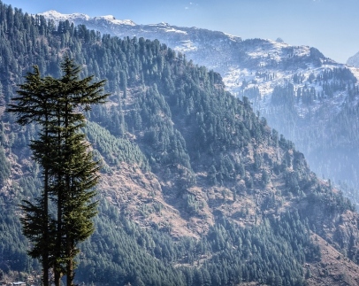 Manali Volvo Package 5D4N - Budget