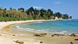 Beautiful Beaches - Standard